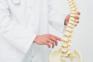 An image of a doctor pointing to a disk on a model of a human spine.